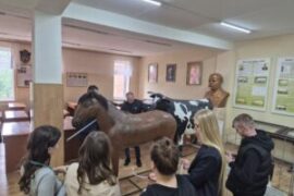 Students mobility in NUBiP of Ukraine 2025