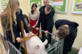 Students mobility in Poltava State Agrarian University 2025